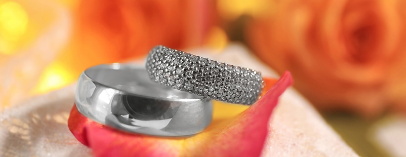 Two silver rings, one plain band and one with pave diamonds, resting on rose petals with warm bokeh background